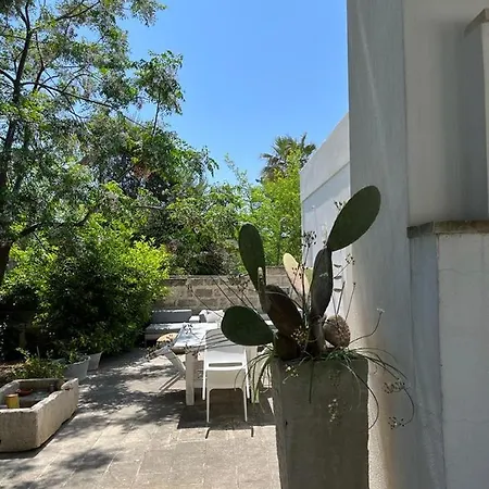 La Torre * 托雷斯佩基亚鲁杰里